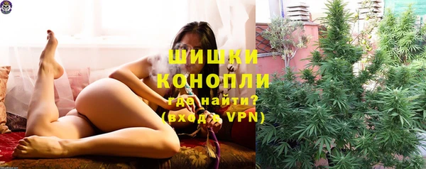 молекула духа Волосово