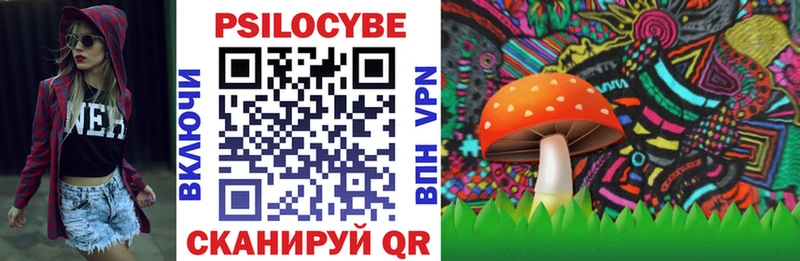 Псилоцибиновые грибы ЛСД  Купить  Шатура 